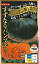 野菜種子　『ナント種苗』　かぼちゃ種子　すずなりパンプティー　6粒詰／30粒詰／50粒詰／100粒詰　【送料込み】