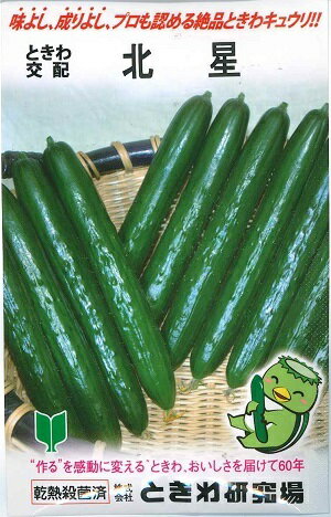 野菜種子　きゅうりたね　(ときわ研究場)　北星　20粒詰　/　350粒袋詰　【送料込み】のサムネイル