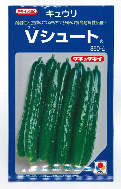 野菜種子　『タキイ種苗』　きゅうりたね　Vシュート　350粒詰　【送料込み】