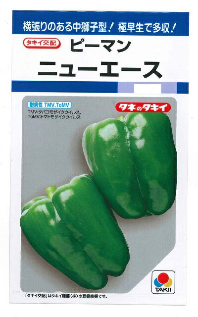 野菜種子　『タキイ種苗』　ピーマンたね　ニューエース　60粒詰／1000粒詰　【送料込み】のサムネイル