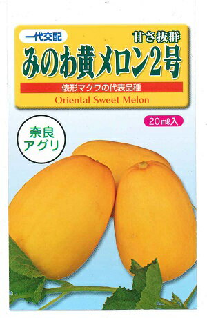 野菜種子 メロン「みのわ黄メロン2号」　2ml／10ml／20ml（奈良アグリ）　【送料込み】甜瓜 俵型マクワウリ うり めろん 早生黄色系