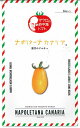 野菜種子 マウロの地中海トマト「ナポリターナ カナリア」 8粒詰(サナテックシード)【送料込み】ミニトマト ナポリターナカナリア
