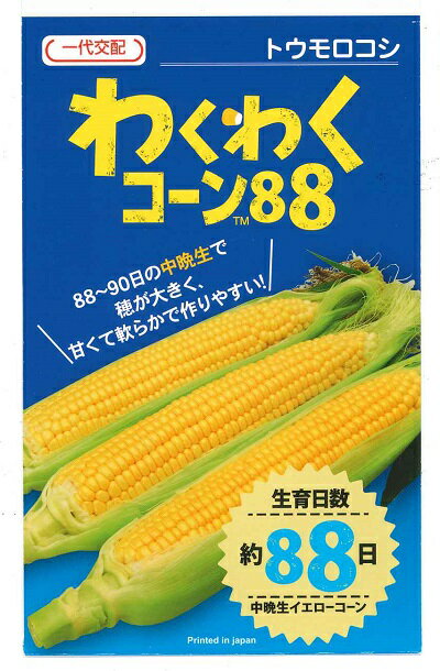 野菜種子 トウモロコシ「わくわくコーン88」 100粒/200粒/500粒/2,000粒(カネコ種苗) 【送料込み】 とうもろこし ワクワクコーン イエローコーン 中晩生 マルチ・トンネル・露地・抑制栽培