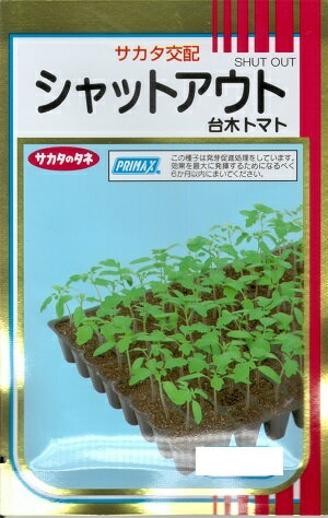 野菜種子 台木用トマト「シャットアウト」　100粒／500粒／1,000粒（サカタのタネ）【送料込み】 しゃっとあうと だいぎ ダイギ 耐病性 耐虫性