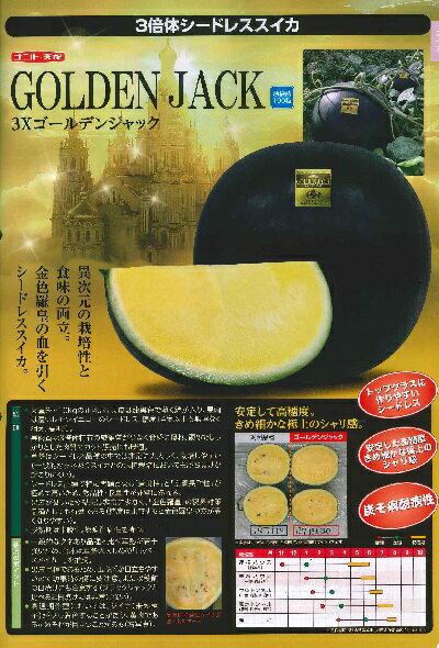 野菜種子 スイカ「3Xゴールデンジャック」8粒/50粒/100粒(ナント種苗)【送料込み】西瓜 すいか シードレススイカ
