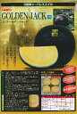 【注目の新入荷】野菜種子 西瓜「ゴールデンジャック」 8粒/50粒/100粒(ナント種苗)【送料込み】西瓜/すいか/スイカ