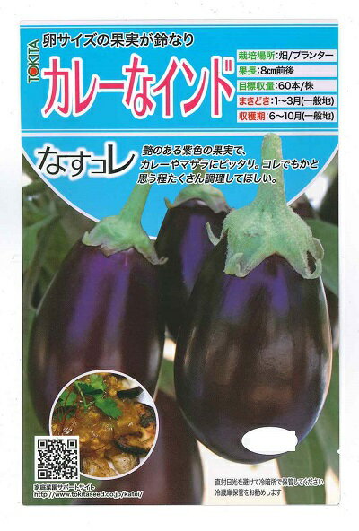野菜種子 ナス「カレーなインド」20粒／100粒（トキタ種苗）【送料込み】茄子／なす／インド／カレー／..