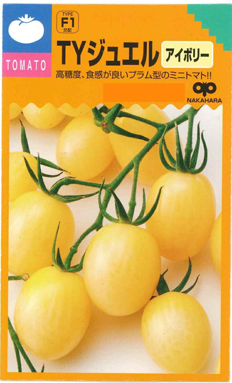 野菜種子 ミニトマト「TYジュエル アイボリー」12粒／100粒／1,000粒（中原採種場）【送料込み】