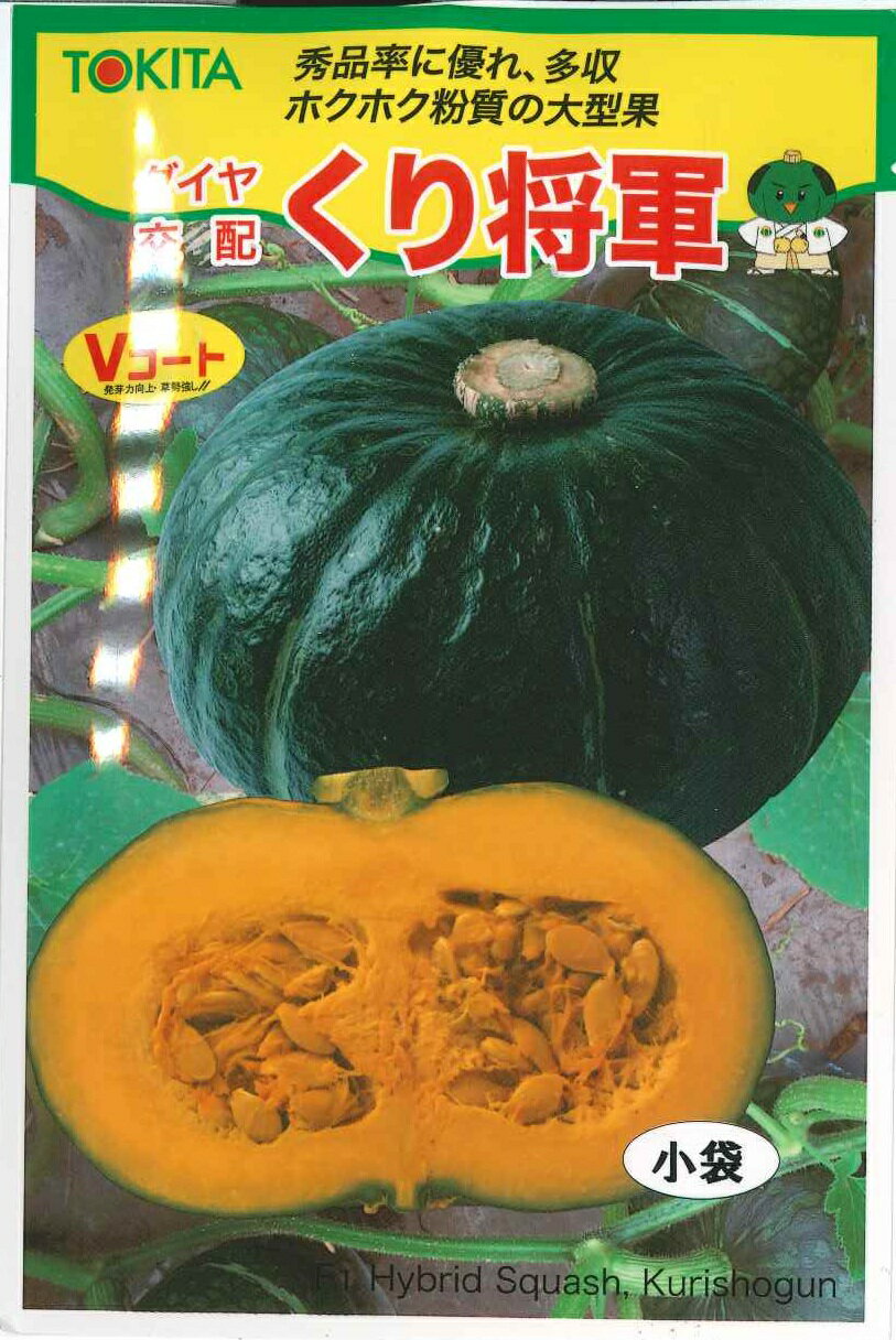 野菜種子 かぼちゃ「くり将軍」　7粒／500粒（トキタ種苗）【送料込み】くりしょうぐん クリショウグン 南瓜 かぼちゃ カボチャ