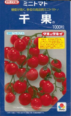 豪華 野菜種子 ミニトマト タキイ交配 タキイ種苗 千果 1000粒袋詰 最安 Www Amir Org Rw 豪華 野菜種子 ミニトマト タキイ交配 タキイ種苗 千果 1000粒袋詰 最安 Www Amir Org Rw