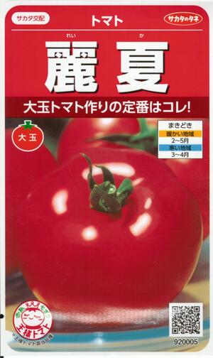 野菜種子 大玉トマト「麗夏」21粒/100粒/500粒/1,000粒(サカタのタネ) 【送料込み】 れいか レイカ 夏秋栽培向け 着果性 家庭菜園 葉茎病抵抗性 耐虫性 肥大性 多収