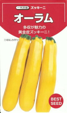 野菜種子 『ズッキーニタネ』 タキイ交配 (タキイ種苗) オーラム 100粒袋詰 【送料無料】