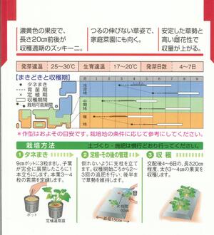 野菜種子 『ズッキーニタネ』 タキイ交配 (タキイ種苗) オーラム 100粒袋詰 【送料無料】