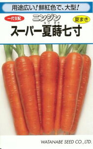 野菜種子『ニンジンタネ』　一代交配　(渡辺採種場)　スーパー夏蒔七寸　20ml袋詰　【送料無料】