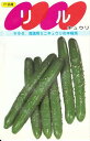 野菜種子『ミニきゅうりタネ』サカタ交配 (サカタのタネ) リル 18粒詰 / 50粒詰 / 100粒詰 / 200粒詰 / 350粒詰 【送料込み】
