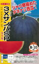 野菜種子　『たねなし西瓜』　ナント交配　(ナント種苗) 3XサンバSP 10粒詰　/　50粒詰　/　100粒詰　【送料込み】