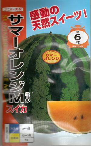 スイカ 野菜種子　『オレンジ果肉中玉スイカ』　ナント交配　(ナント種苗) 　サマーオレンジミドル 7粒詰　/　50粒詰　/　200粒詰　 【送料込み】