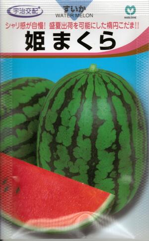 野菜種子 楕円小玉スイカ「姫まくら」　7粒／30粒／50粒／200粒（丸種）　【送料込み】ひめまくら ヒメ..