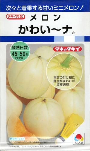 野菜種子 ミニメロン「かわい〜ナ」8粒／100粒（タキイ種苗） 【送料込み】めろん カワイーナ かわいー..