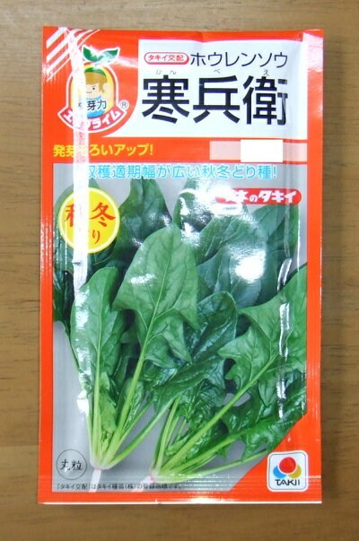 野菜種子 ホウレンソウ「寒兵衛」　40ml（約1,500粒）／М30,000粒（タキイ種苗）　【送料込み】 かんべ..