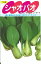 「野菜種子　『サカタのタネ』　シャオパオ　ミニチンゲンサイ　3ml袋詰　(約350本)　【送料込み】」を見る