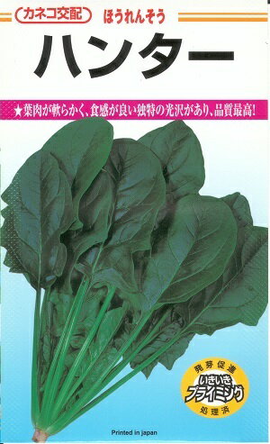 ǵࡡŷԾŹ㤨ڼ ۥ󥽥֥ϥ󥿡ס30ml1dlM3γʥͥġˡߡˡϡ ۥ ۤ ۤ󤽤 դޤ ޤפβǤʤ640ߤˤʤޤ