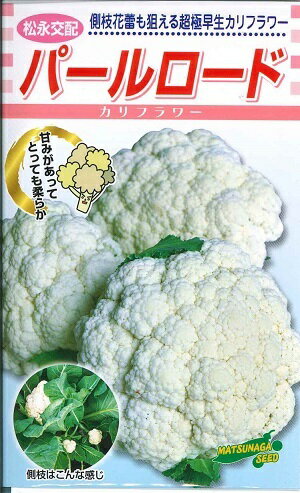 野菜種子　『松永種苗』　カリフラワー種子　パールロード　80粒詰／2500粒詰　　【送料込み】