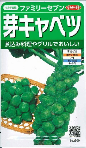 野菜種子　『サカタのタネ』　芽キャベツ種子　ファミリーセブン　　1ml袋詰　【送料込み】　約80本分