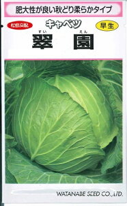 野菜種子 『渡辺採種場』 キャベツ種子 翠園 1.2ml詰(約144粒)/5ml詰/10ml詰/20ml詰 【送料込み】 早生種
