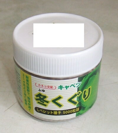 野菜種子　　『カネコ種苗』　　キャベツ種子　冬くぐり　0.9ml詰／5ml詰／10ml詰／2dl詰／ペレット5000粒　　【送料込み】
