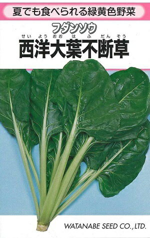 野菜種子　フダンソウ種子　『渡辺採種場』　西洋大葉不断草　10ml袋詰　