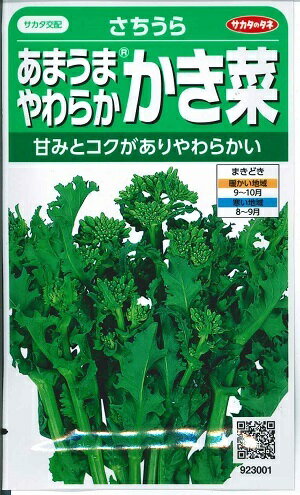 野菜種子　かき菜　『サカタのタネ』　さちうら　7ml袋詰　【送料込み】