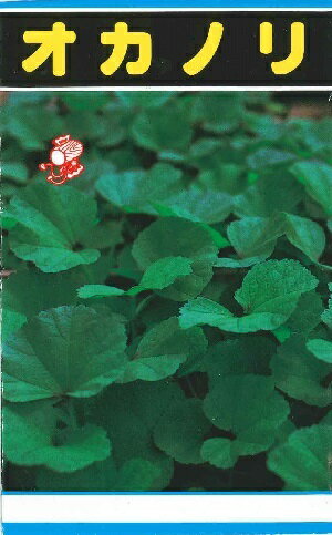 商品画像：商品画像