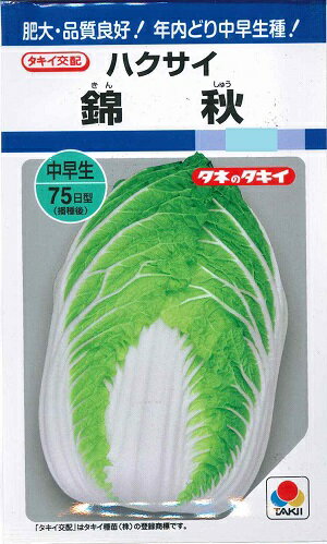野菜種子　　『タキイ種苗』　　ハクサイ種子　錦秋　2.2ml詰(約400粒)／20ml詰　　【送料込み】