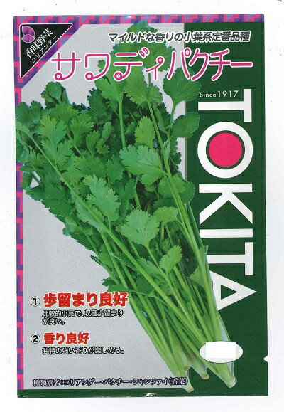 ハーブ種子 パクチー「サワディパクチー」 10ml（トキタ種苗）【送料込み】 コリアンダー パクチー 香..