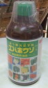 液肥 葉面散布液肥「エバホウソAエキス」550g(500cc)/550g(500cc)×2本(アミノール科学研究所/タキイ種苗)【送料込み】ホウ素欠乏予防エキス/肥料