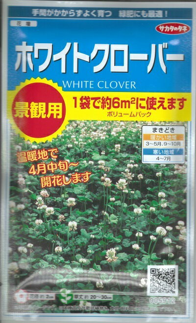 牧草種子　『サカタのタネ』　ホワイトクローバー　35g袋詰　(約6平米分)　【送料込み】