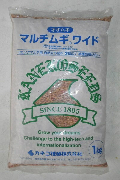 牧草種子　大麦種子　『カネコ種苗』　マルチムギワイド　1kg袋詰　【送料込み】