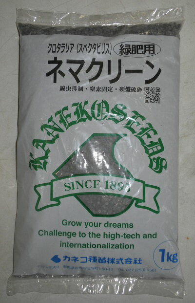 緑肥作物　『カネコ種苗』　ネマクリーン（マメ科）　1kg詰　【送料込み】
