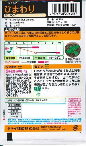 【お徳用】花種子 ひまわり「サンキング」10ml（約40本分）（タキイ種苗）【送料込...