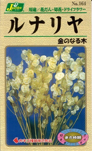 花種子「ルナリヤ」0.5ml（カネコ種苗）【送料込み】 ルナリア 合田草 ゴウダソウ 花壇 切り花 ドライフラワー