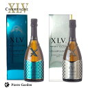 XLV シャンパン 2種 飲み比べセット キュベ スペシャル ドミセック ドゥミセック キュヴェ スペシャル ブリュット 箱 ザビエ ルイ ヴィトン XAVIER LOUIS VUITTON ギフト 高級シャンパン お酒 プレゼント 贈り物 母の日 父の日 PierreGarden