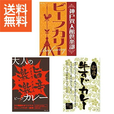 【送料無料】カレーバラエティーセット（40食）〈Y−20〉 カレー/出産内祝い 内祝い お返し 快気祝い 新築内祝い 引き出物 法事 香典返し ［W-F］(co)