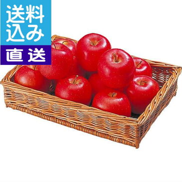 【送料込み/直送】青森産 サンふじりんご(5kg) ●お届けの目安:12月上旬〜2月下旬出産内祝い 内祝い お返し 快気祝い 新築内祝い 引き出物 法事 香典返し お返し返礼ギフト|青森産サンふじ|(bo)