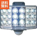 【送料無料】|9Wワイドフリーアーム式LED乾電池センサーライト|LED-170 プレゼント お祝い 誕生日祝い 敬老の日 母の日 父の日 自家消費にも