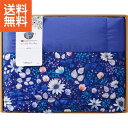 【送料無料】|アンナ・エミリア 洗える羽毛肌掛ふとん|0422049 ジャストプライス/ギフト 送料込み 消費税込み 送料無料 法事 香典返し 誕生日祝い 御祝い 出産内祝い 内祝い お返し 快気祝い 新築内祝い 引き出物