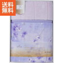 【送料無料】|西川 衿付きマイヤー合わせ毛布|FQ82020000800 ジャストプライス/ギフト 送料込み 消費税込み 送料無料 法事 香典返し 誕生日祝い 御祝い 出産内祝い 内祝い お返し 快気祝い 新築内祝い 引き出物