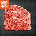 【送料無料/直送】|銀座吉澤松阪牛サーロインステーキ（600g）|