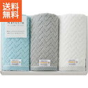 【2800円で税込み・送料無料】|ナチュクル ふわふわ無撚糸 フェイスタオル3枚セット|〈Nー80300〉ギフト プレゼント 法事 香典返し 内祝い お返し 快...