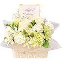【送料無料/直送】バースデーフラワー(生花アレンジ)(ピュアホワイト) ギフトセット/プレゼント 誕生日祝い 御祝い 出産内祝い 内祝い お返し 快気祝い 新築...